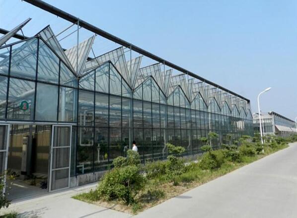 向日葵视频官网陽光板溫室大棚