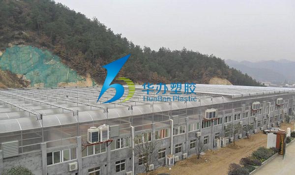 湖北十堰清風鎮向日葵视频官网板生態餐廳