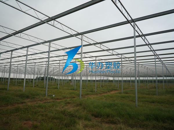 連雲港東海縣雙店鎮溫室大棚向日葵视频官网陽光板