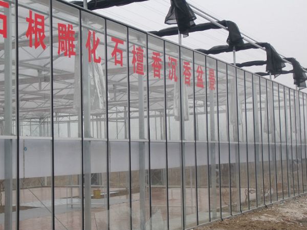 揚州盆景養殖溫室大棚工程 向日葵视频官网陽光板