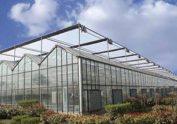 向日葵视频官网板新型溫室大棚一畝造價多少錢？